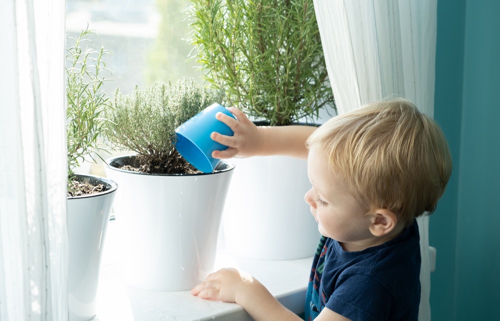 Baies vitrées et fenêtres : Comment faire le bon choix ?