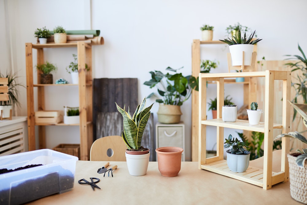 AL’in.fr : La plateforme révolutionnaire d’offres de logement en France